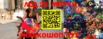 PSILOCYBIN Нальчик