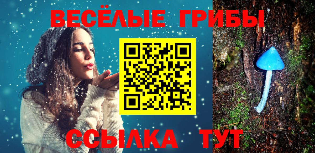Псилоцибиновые грибы Magic Shrooms  Вход с VPN  Сосновый Бор 
